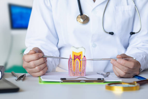 Best Tooth Pain Emergency Relief  in Vidor, TX